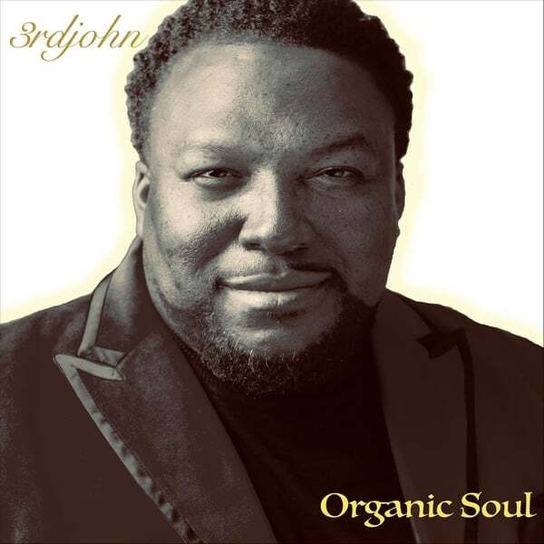 Cover art for Organic Soul